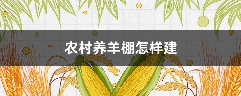 农村养羊棚怎样建 农村养羊棚怎样建图片