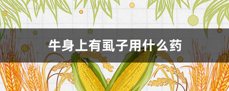 牛身上有虱子用什么药（牛身上的虱子用什么药）
