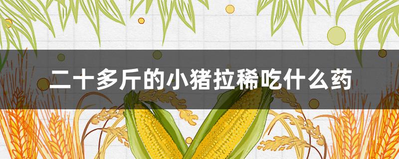 二十多斤的小猪拉稀吃什么药 三十多斤的小猪拉稀吃什么药