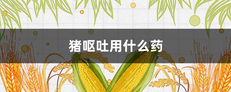 猪呕吐用什么药(猪呕吐用什么药?)