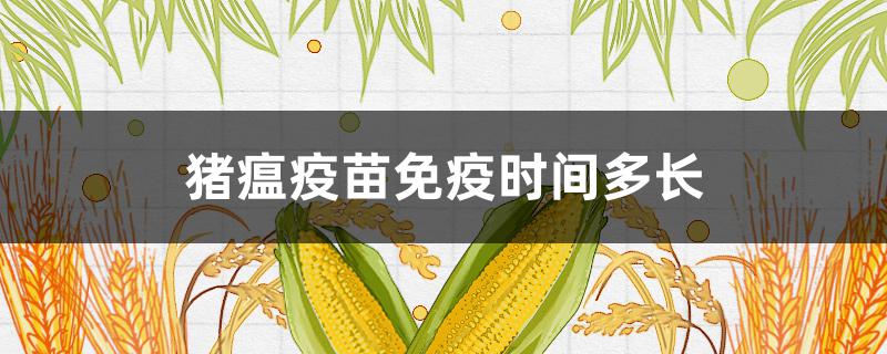 猪瘟疫苗免疫时间多长（猪疫苗免疫期多长）