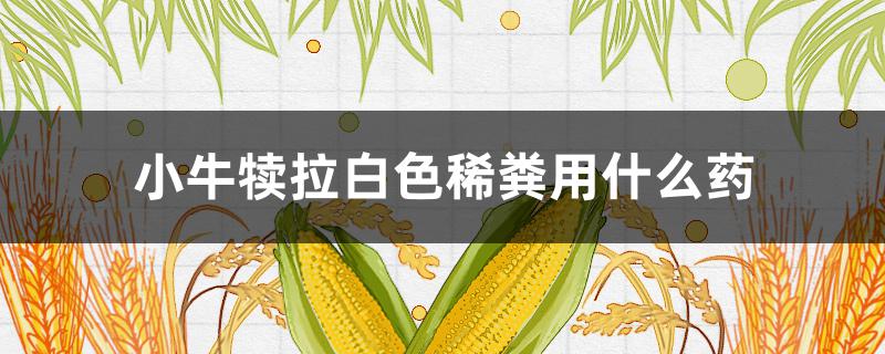 小牛犊拉白色稀粪用什么药 小牛犊拉白色的稀便