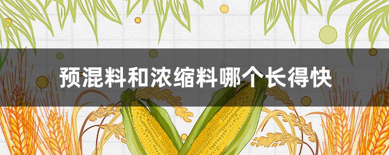 预混料和浓缩料哪个长得快 浓缩料和预混料有什么区别么