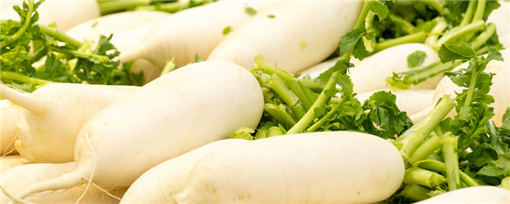 萝卜一年可以播种几次 萝卜播种到收成几个月