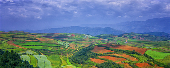 旱地属于什么土地性质 旱地属于土地利用类型吗