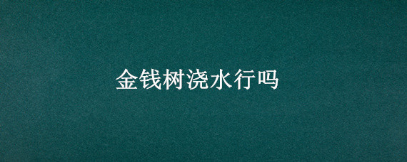 金钱树浇水行吗 金钱树 浇水
