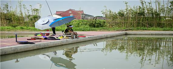 钓鲤鱼用什么打窝（夏天钓鲤鱼用什么打窝）