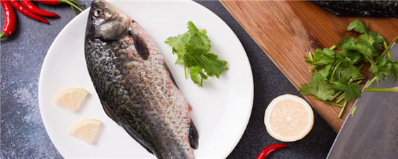 鲫鱼养殖技术和密度（鲫鱼养殖技术和密度饲料）