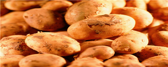 马铃薯的种植方法和时间 马铃薯种植方法和时间