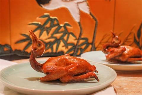 老鸽的营养价值及功效