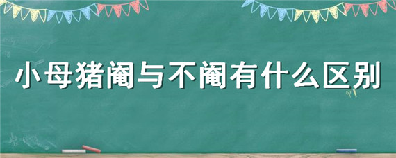 小母猪阉与不阉有什么区别 阉公猪还是阉母猪