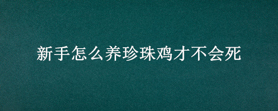 新手怎么养珍珠鸡才不会死 珍珠鸡容易养活吗