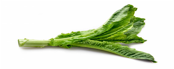 莴笋抽薹是什么原因 如何防止莴苣先期抽薹