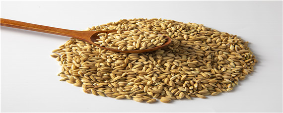 稻谷生虫怎么才能消灭?（稻谷很多虫用什么去除）