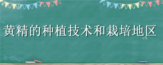 黄精的种植技术和栽培地区（黄精种植条件和技术）