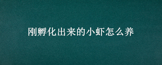 刚孵化出来的小虾怎么养 刚孵化出来的小龙虾怎么养