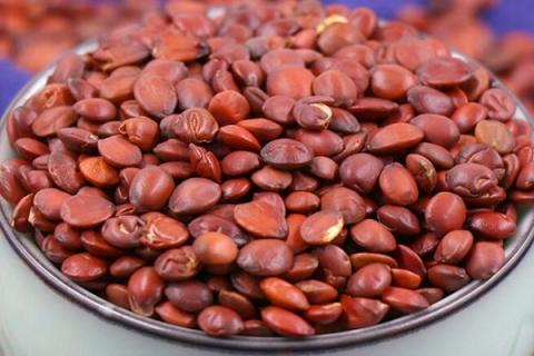 炒枣仁的功效与作用 炒酸枣仁的功效与作用