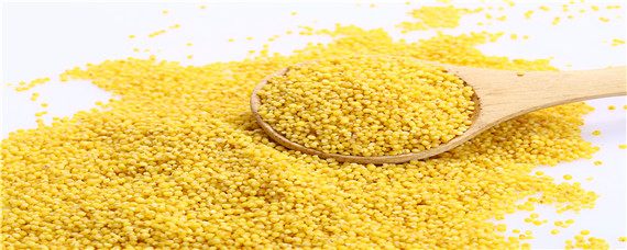 小米是什么农作物 小米是什么农作物种出来的