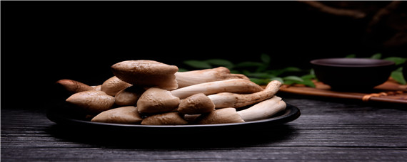 白蚁鸡枞菌栽培技术（白鸡枞菌人工栽培技术）