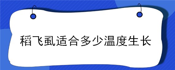 稻飞虱适合多少温度生长（稻田飞虱温度多少不发展）