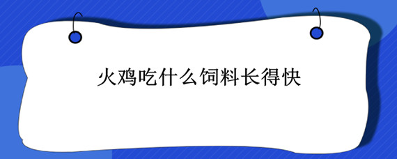 火鸡吃什么饲料长得快 小鸡吃什么饲料长得快