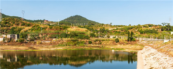 高密度黄颡鱼养殖技术 黄颡鱼高密度养殖亩产多少斤