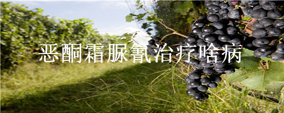 恶酮霜脲氰治疗啥病 恶酮霜脲氰治疗啥病磷酸二氢钾属于什么类型