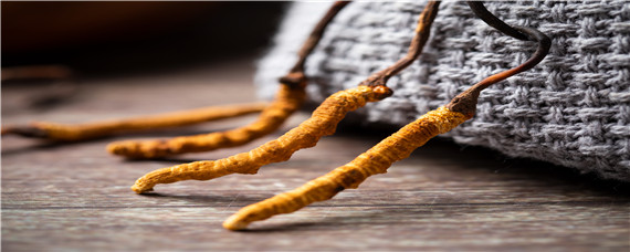 人工虫草和野生虫草的区别 野生虫草和人工虫草药效有区别吗