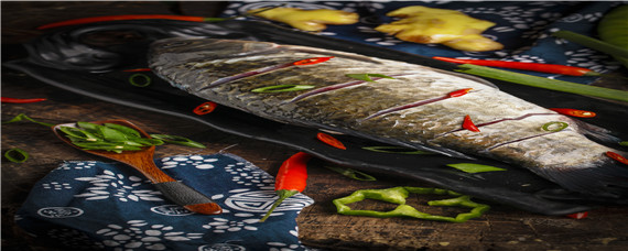 鲢鱼和鳙鱼的区别(鲢鱼和鳙鱼的区别图片)