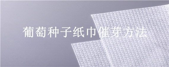 葡萄种子纸巾催芽方法 葡萄种子怎么催芽