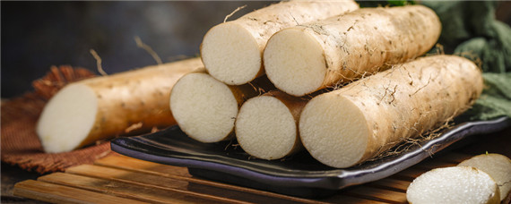 山药种植技术与栽培管理 山药种植技术与栽培管理视频