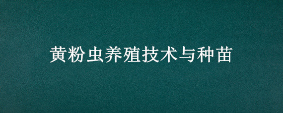 黄粉虫养殖技术与种苗（黄粉虫养殖技术与种苗的教学视频）