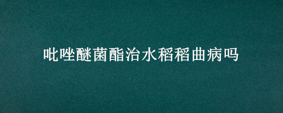 吡唑醚菌酯治水稻稻曲病吗 噻呋酰胺能防治水稻稻曲病吗