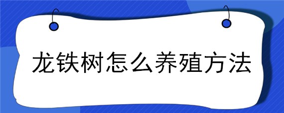 龙铁树怎么养殖方法（龙铁树怎么种植）