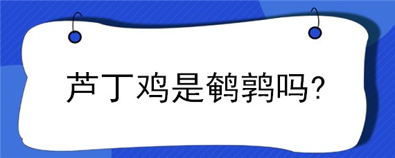 芦丁鸡是鹌鹑吗?（芦丁鸡是不是鹌鹑）