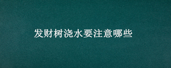 发财树浇水要注意哪些（发财树平时浇什么水）