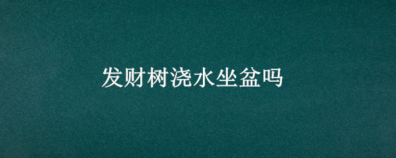 发财树浇水坐盆吗(发财树盆栽浇水)