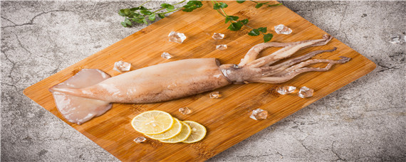 鱿鱼有什么营养（鱿鱼有什么营养成分）