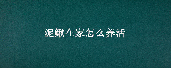 泥鳅在家怎么养活 泥鳅怎么繁殖的?泥鳅在家怎么养活