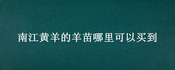 南江黄羊的羊苗哪里可以买到 南江黄羊羊苗多少一斤