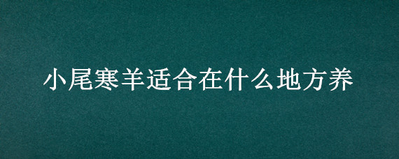 小尾寒羊适合在什么地方养 小尾寒羊适合放养吗