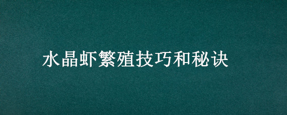 水晶虾繁殖技巧和秘诀 水晶虾繁殖条件及步骤