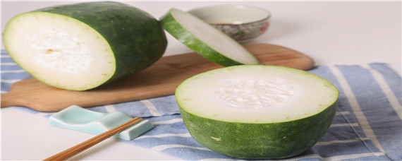 冬瓜的种植方法（冬瓜的种植方法和时间视频）