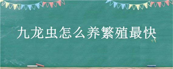 九龙虫怎么养繁殖最快 如何养九龙虫繁殖最快