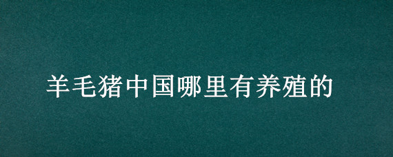 羊毛猪中国哪里有养殖的 中国有羊毛猪吗