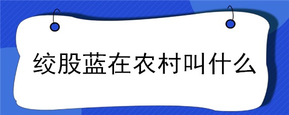 绞股蓝在农村叫什么 绞股蓝俗称什么