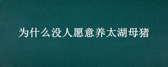 为什么没人愿意养太湖母猪 太湖母猪的后代能做种猪吗