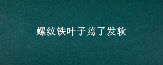 螺纹铁叶子蔫了发软（螺纹铁叶子发黄枯萎了还能活吗）