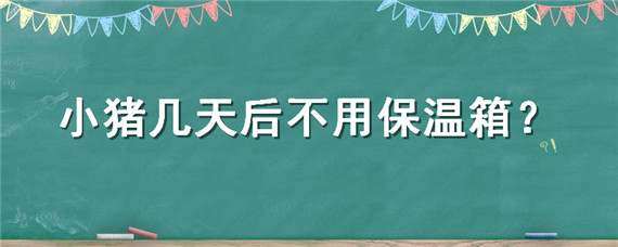 小猪几天后不用保温箱（冬季小猪多大不用保温箱）