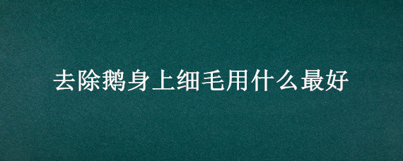 去除鹅身上细毛用什么最好 大鹅身上细毛如何去?